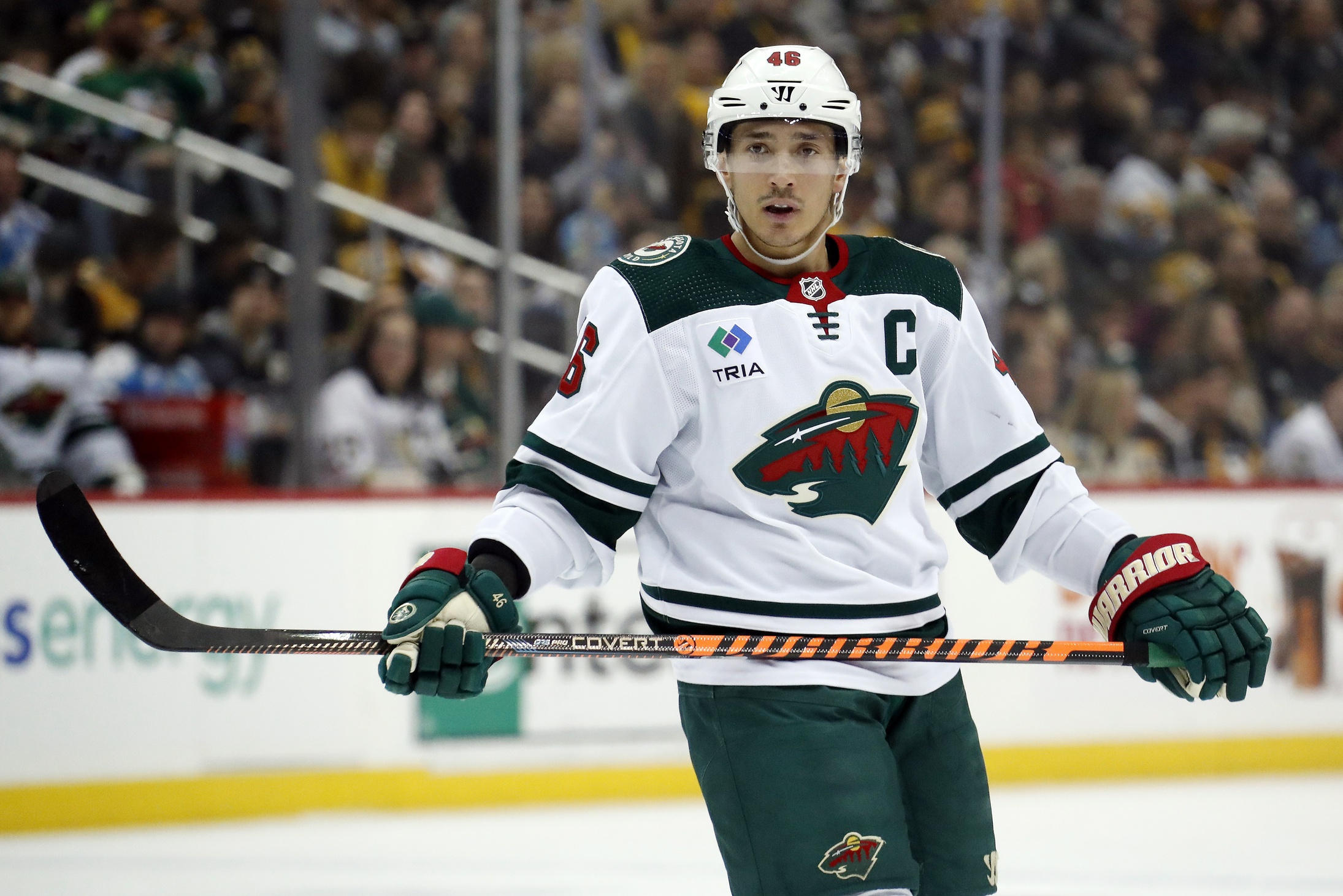 Should the Minnesota Wild want to make the playoffs?