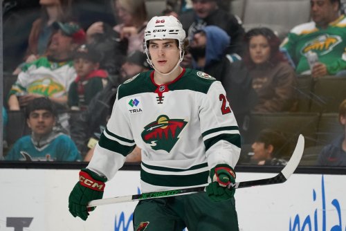 What Are the Strengths and Weaknesses of the Wild's Prospect Pool?