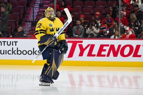 Wild Players Shine For Sweden In First 4 Nations Game