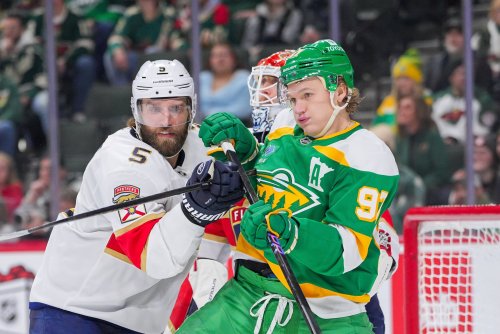 What (Actually Good) Lessons Can the Wild Learn From the Panthers?