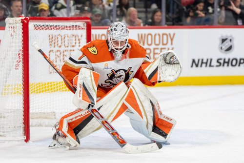 Lukas Dostal Might Be Minnesota's Perfect Bridge Goalie