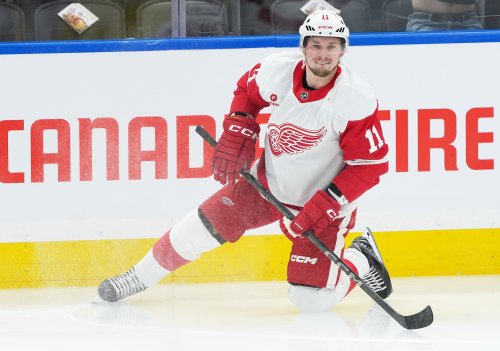 Wild Acquire Vladimir Tarasenko For Free