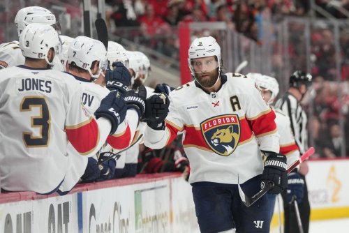 Signing Aaron Ekblad Would Spur Jiricek’s Development