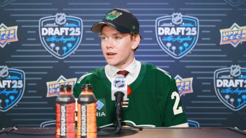 The Wild Might Have Something With Newly Drafted Defensemen Theodor Hallquisth