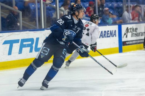 2025 HW Top Wild Prospects Series: Honorable Mentions