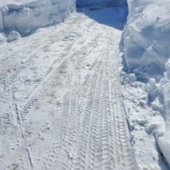 MNCountryLife