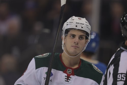 Are the Wild Gambling By Pairing David Jiricek and Zeev Buium?