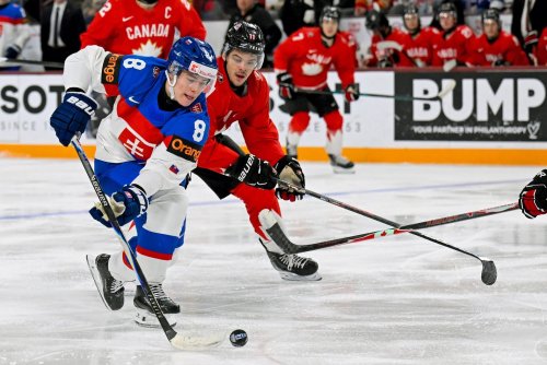 The Crowd Made A Fashion Statement At World Juniors
